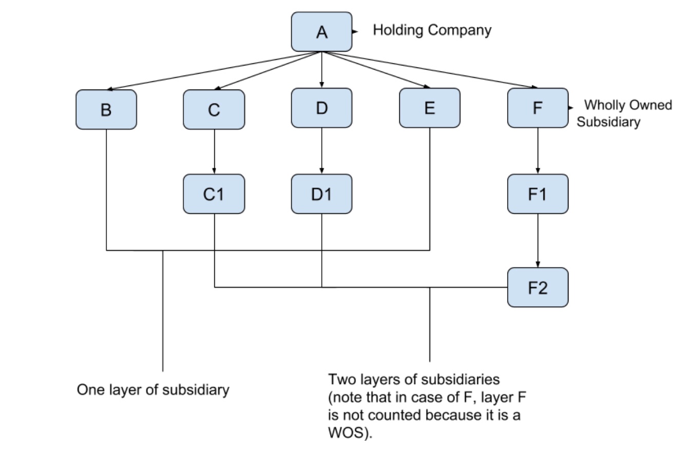 llc-holding-company-structure